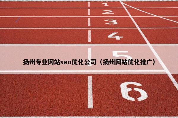扬州专业网站seo优化公司（扬州网站优化推广）