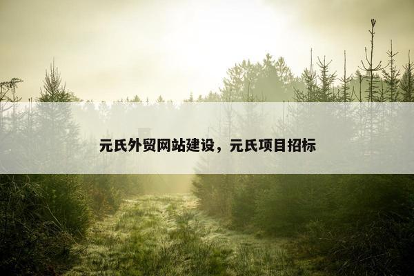 元氏外贸网站建设，元氏项目招标