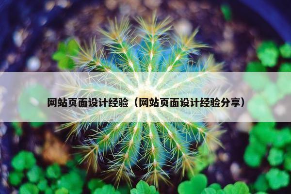 网站页面设计经验（网站页面设计经验分享）