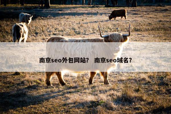南京seo外包网站？ 南京seo域名？
