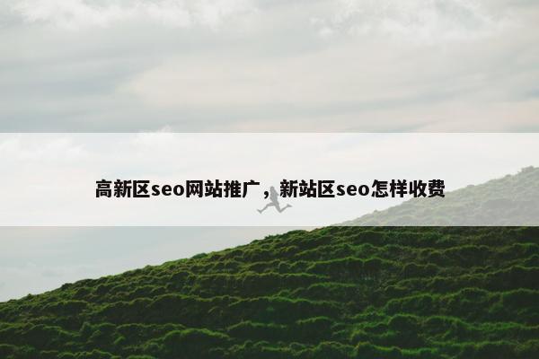 高新区seo网站推广，新站区seo怎样收费