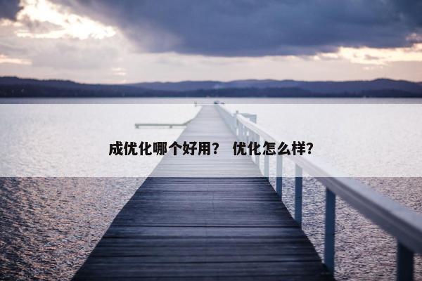 成优化哪个好用？ 优化怎么样？