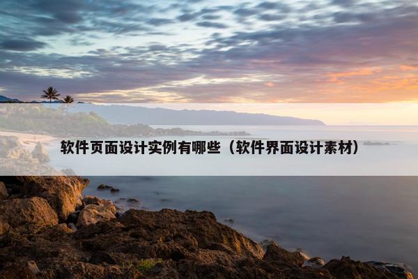软件页面设计实例有哪些（软件界面设计素材）