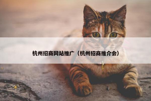 杭州招商网站推广（杭州招商推介会）