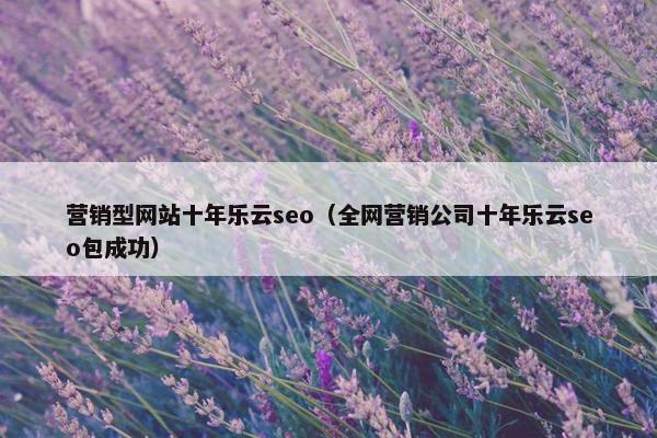 营销型网站十年乐云seo（全网营销公司十年乐云seo包成功）