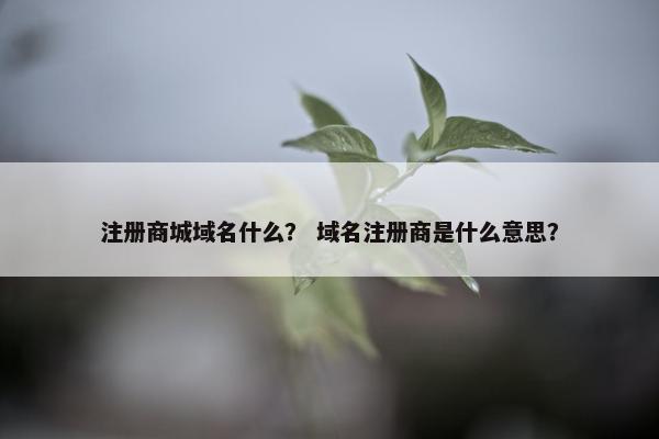 注册商城域名什么？ 域名注册商是什么意思？