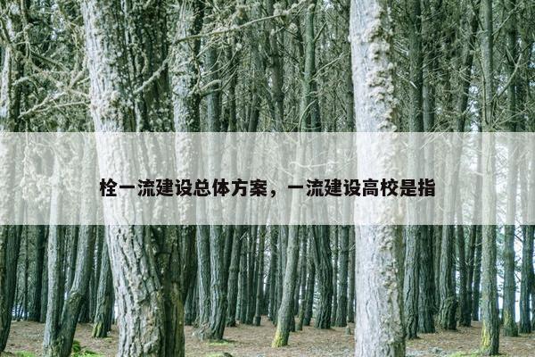 栓一流建设总体方案，一流建设高校是指