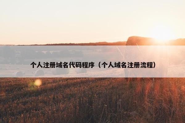 个人注册域名代码程序（个人域名注册流程）