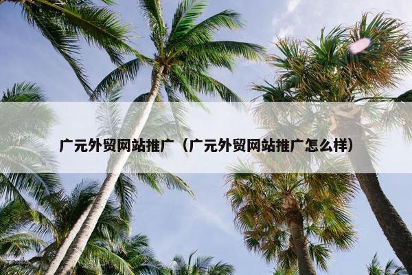 广元外贸网站推广（广元外贸网站推广怎么样）