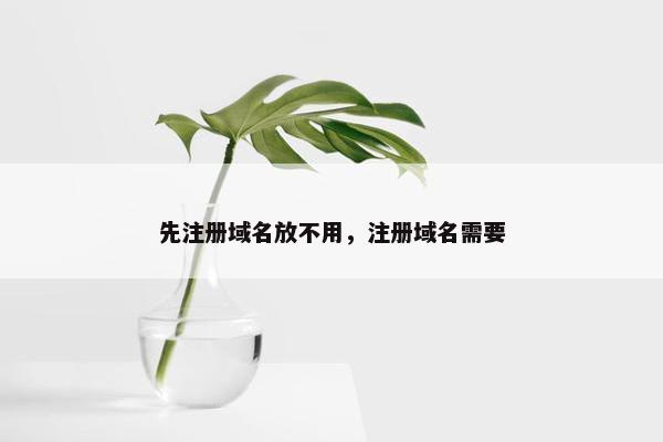 先注册域名放不用，注册域名需要