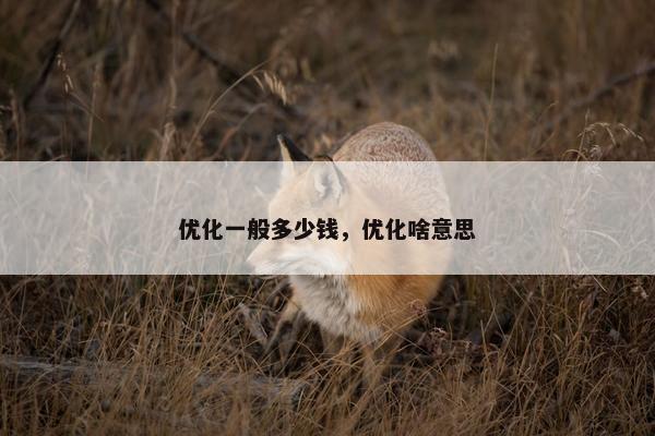 优化一般多少钱，优化啥意思
