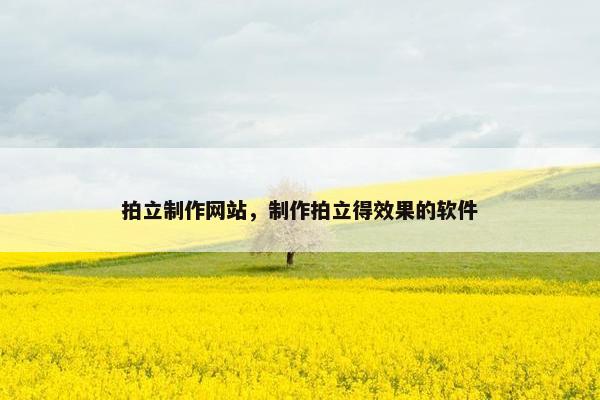 拍立制作网站，制作拍立得效果的软件