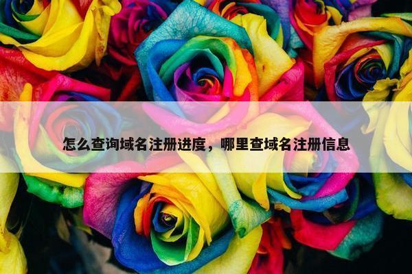 怎么查询域名注册进度，哪里查域名注册信息