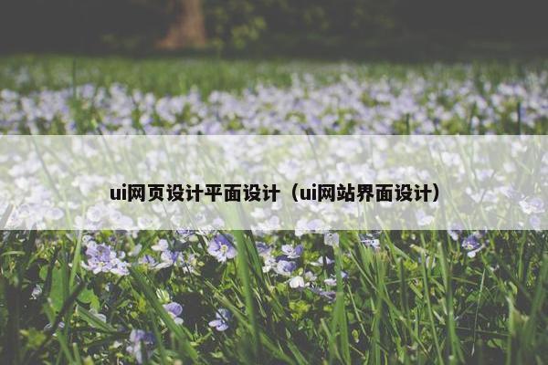 ui网页设计平面设计（ui网站界面设计）