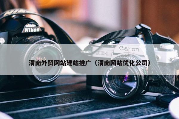渭南外贸网站建站推广（渭南网站优化公司）