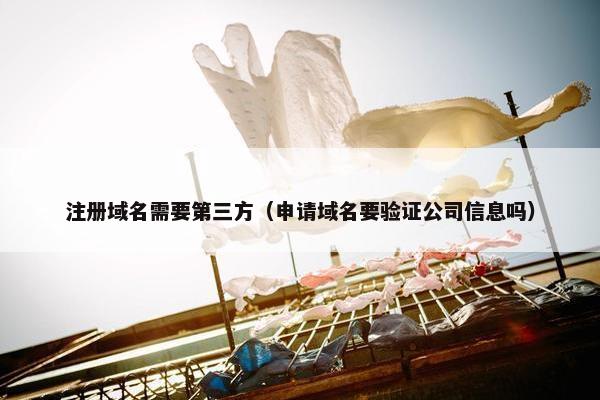 注册域名需要第三方（申请域名要验证公司信息吗）