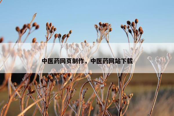 中医药网页制作，中医药网站下载