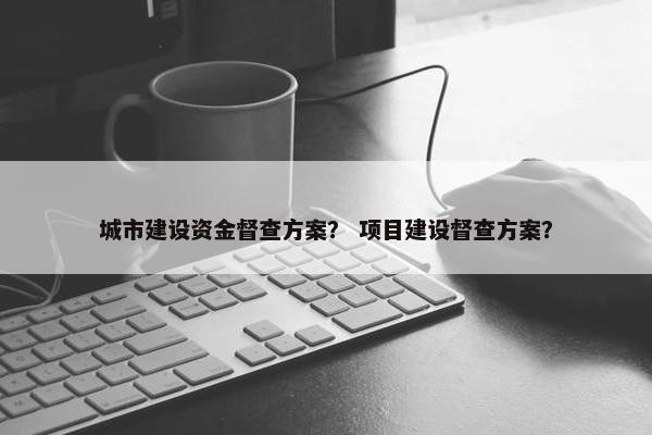 城市建设资金督查方案？ 项目建设督查方案？