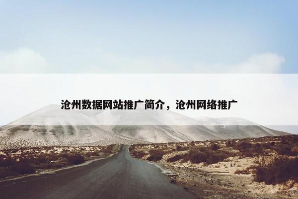 沧州数据网站推广简介，沧州网络推广