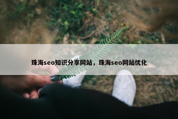 珠海seo知识分享网站，珠海seo网站优化