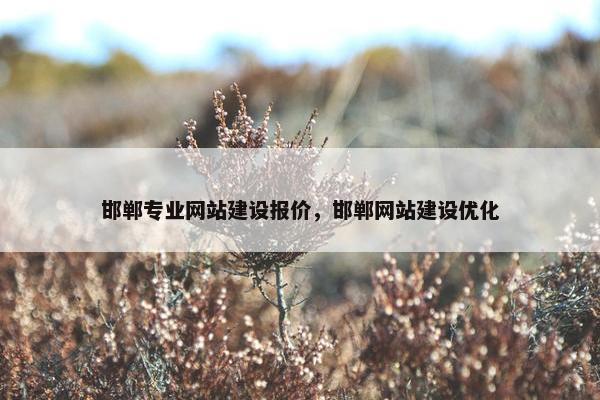 邯郸专业网站建设报价，邯郸网站建设优化