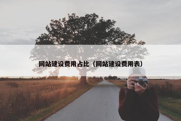 网站建设费用占比（网站建设费用表）
