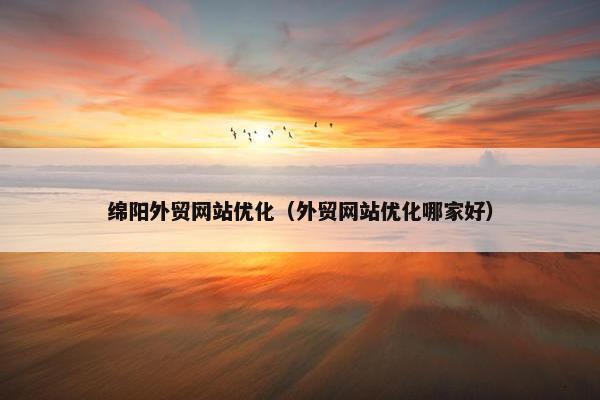 绵阳外贸网站优化（外贸网站优化哪家好）