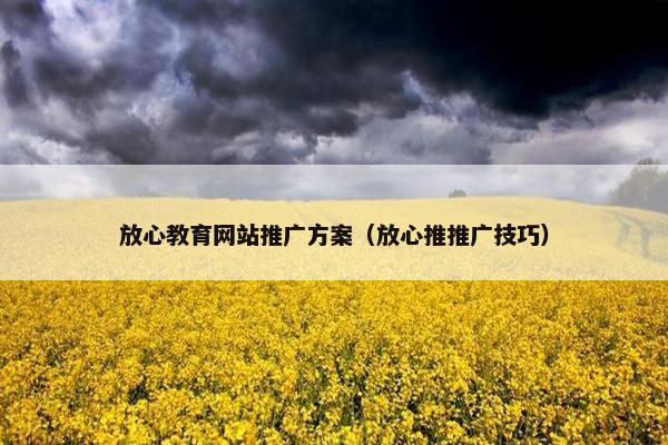 放心教育网站推广方案（放心推推广技巧）