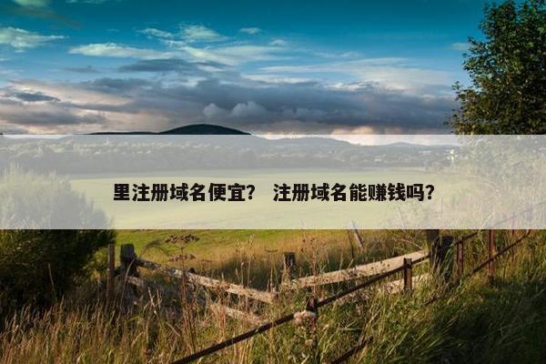 里注册域名便宜？ 注册域名能赚钱吗？