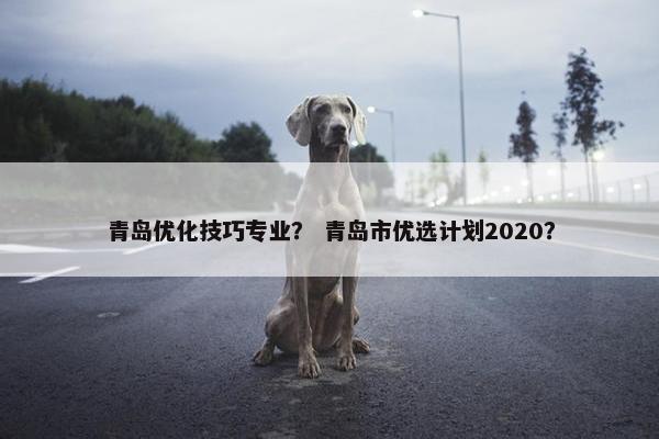 青岛优化技巧专业？ 青岛市优选计划2020？