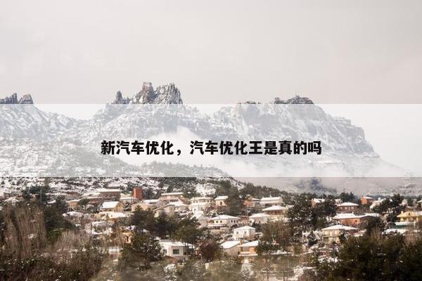 新汽车优化，汽车优化王是真的吗