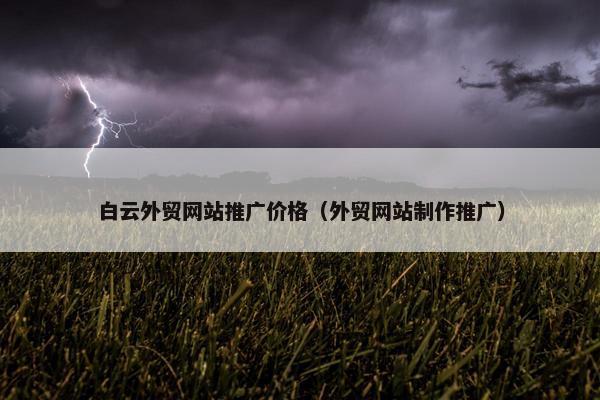 白云外贸网站推广价格（外贸网站制作推广）