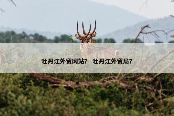 牡丹江外贸网站？ 牡丹江外贸局？