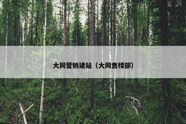 大同营销建站（大同售楼部）