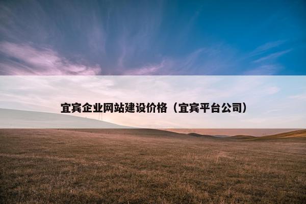 宜宾企业网站建设价格（宜宾平台公司）