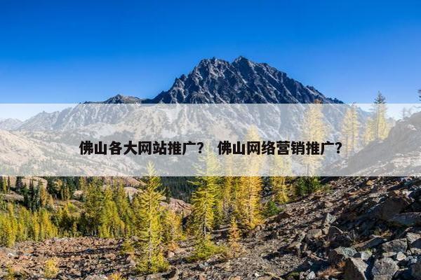 佛山各大网站推广？ 佛山网络营销推广？