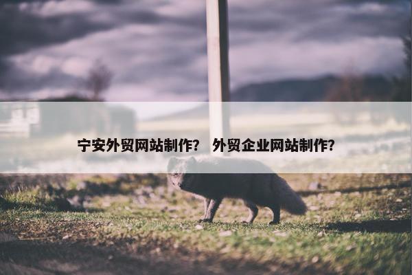 宁安外贸网站制作？ 外贸企业网站制作？