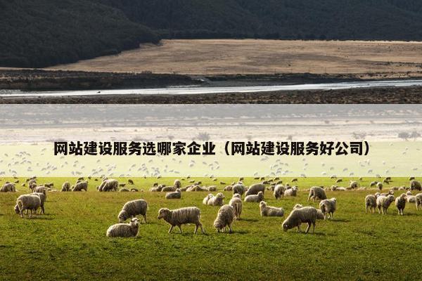 网站建设服务选哪家企业（网站建设服务好公司）