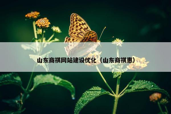山东商祺网站建设优化（山东商祺惠）