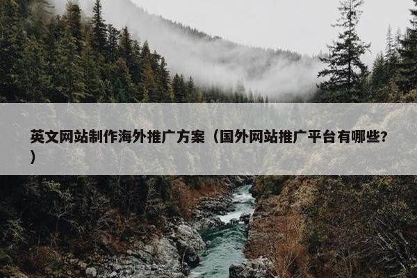 英文网站制作海外推广方案（国外网站推广平台有哪些?）