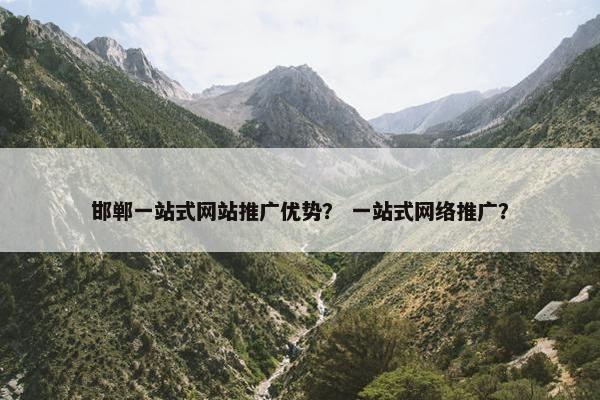 邯郸一站式网站推广优势？ 一站式网络推广？