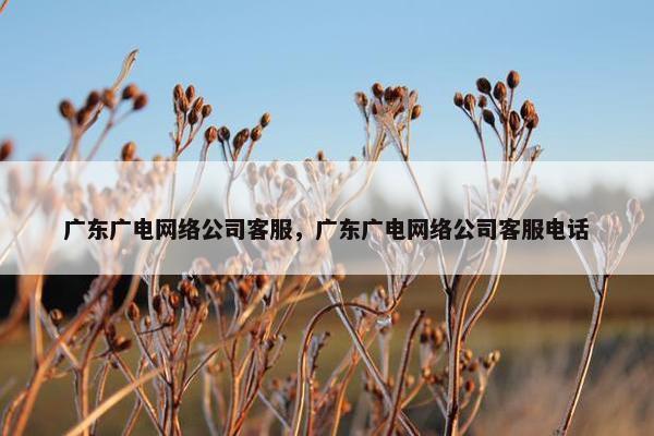 广东广电网络公司客服，广东广电网络公司客服电话