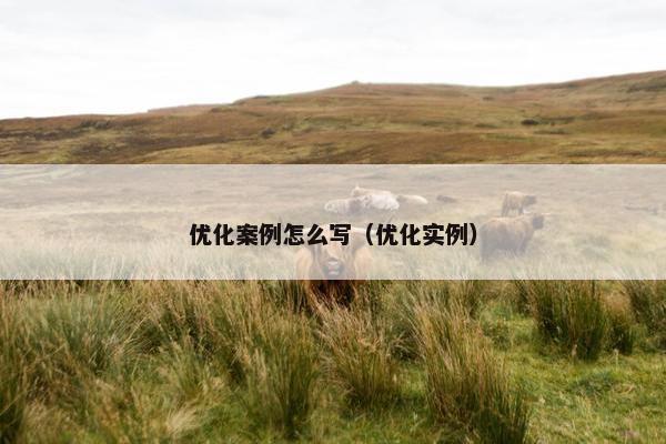 优化案例怎么写（优化实例）