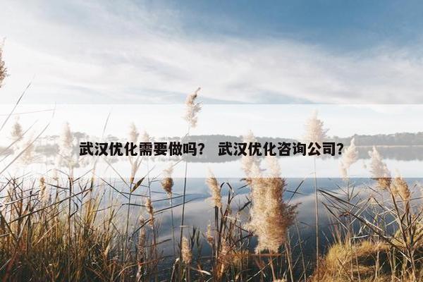 武汉优化需要做吗？ 武汉优化咨询公司？