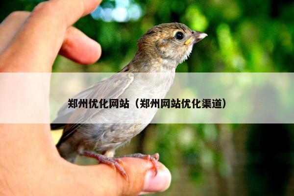 郑州优化网站（郑州网站优化渠道）