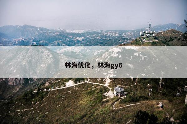林海优化，林海gy6