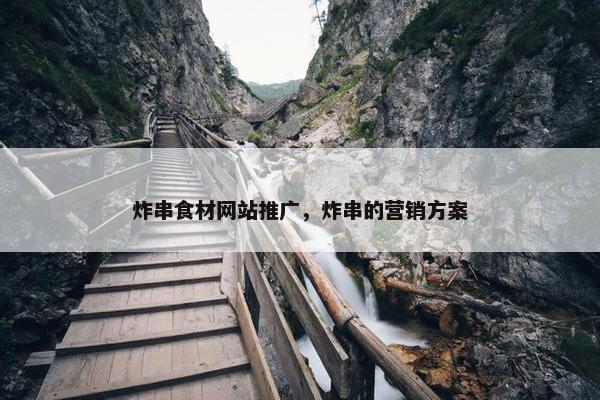 炸串食材网站推广，炸串的营销方案