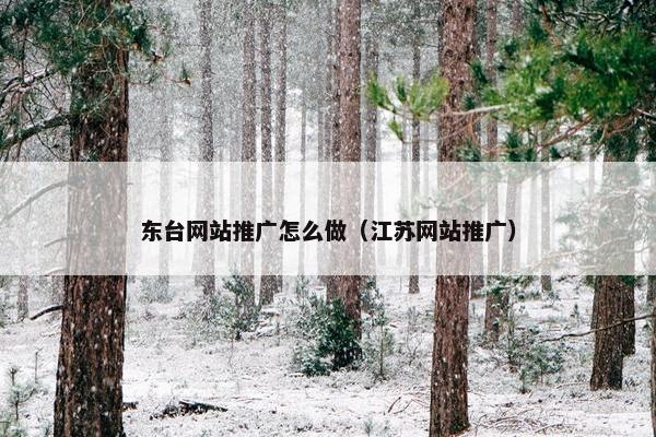 东台网站推广怎么做（江苏网站推广）