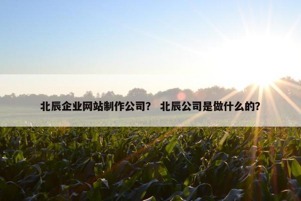 北辰企业网站制作公司？ 北辰公司是做什么的？