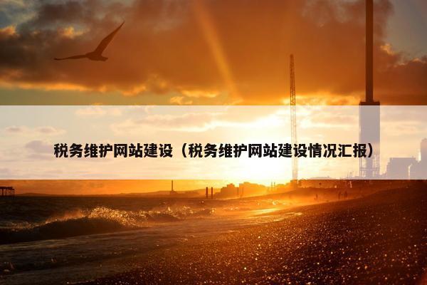 税务维护网站建设（税务维护网站建设情况汇报）